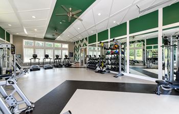 Two Level Fitness Center at Carmel Vista, McDonough, 30253